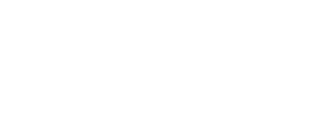 Aries Vincent Digital Solutions